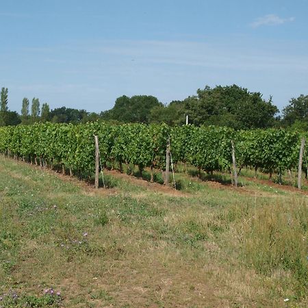 Le Logis Du Livier Hotel Saint-Georges-sur-Layon Buitenkant foto